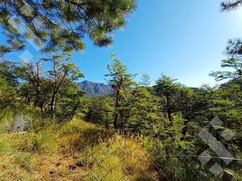Terreno en Venta en San Martin de los Andes, Lácar