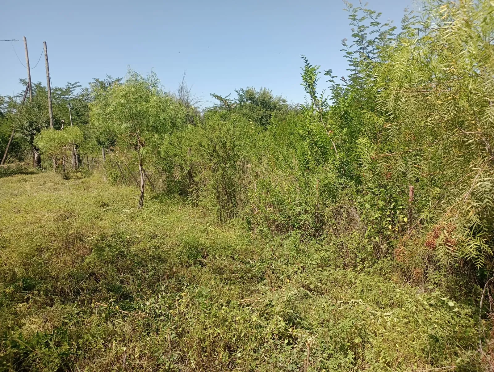 Dos lotes de terreno en Cosquín La Mandinga |510M2| financio y vendo