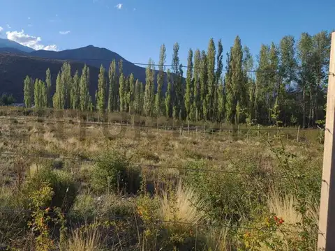 Terreno en Venta en Potretillos, Luján de Cuyo