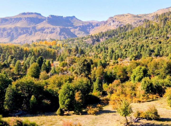 Terreno · 220000m²