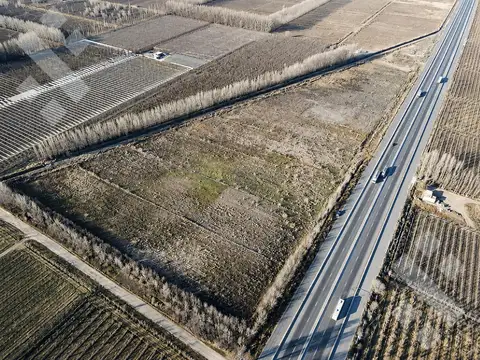 Campo en Venta en General Fernández Oro, General Roca
