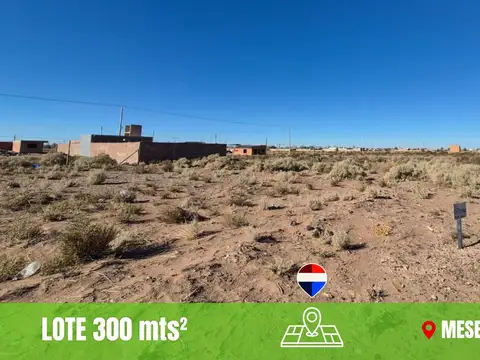 Terreno en Venta en Centenario, Confluencia