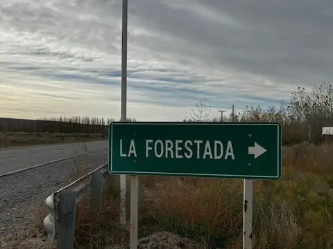 Terreno en Venta en Añelo, Neuquén