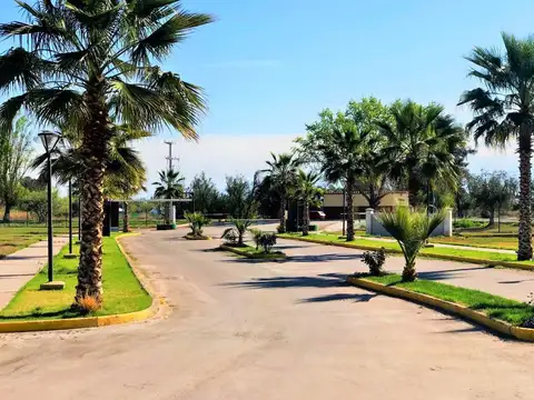 Terreno en Venta en Colonia Segovia, Guaymallén