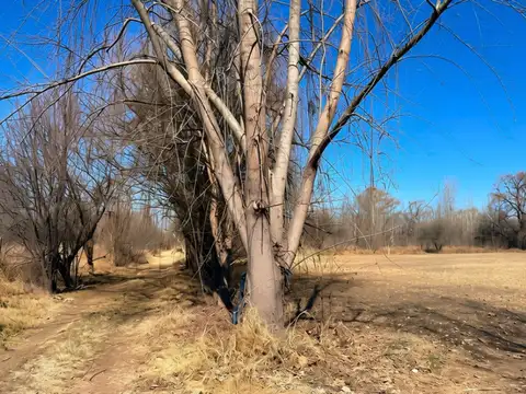 Terreno en Venta en Totoral, Tunuyán