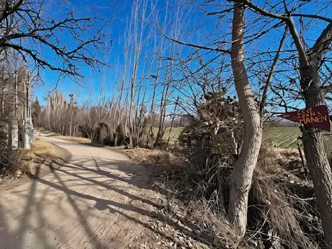 Terreno en Venta en Totoral, Tunuyán