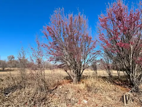 Terreno en Venta en Totoral, Tunuyán