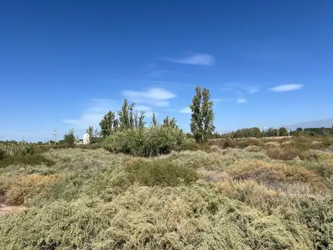 Terreno en Venta en El Sauce, Guaymallén