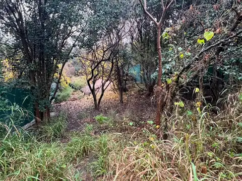 Terreno en Venta en La Granja, Colón