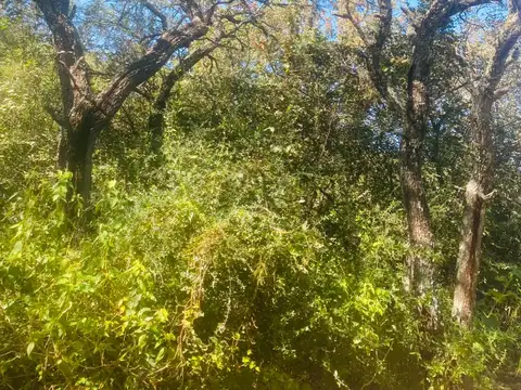 Terreno en Venta en Villa de las Rosas, San Javier