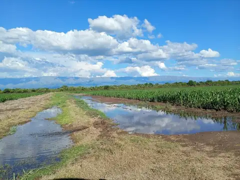 Campo en Venta en San Javier, Córdoba