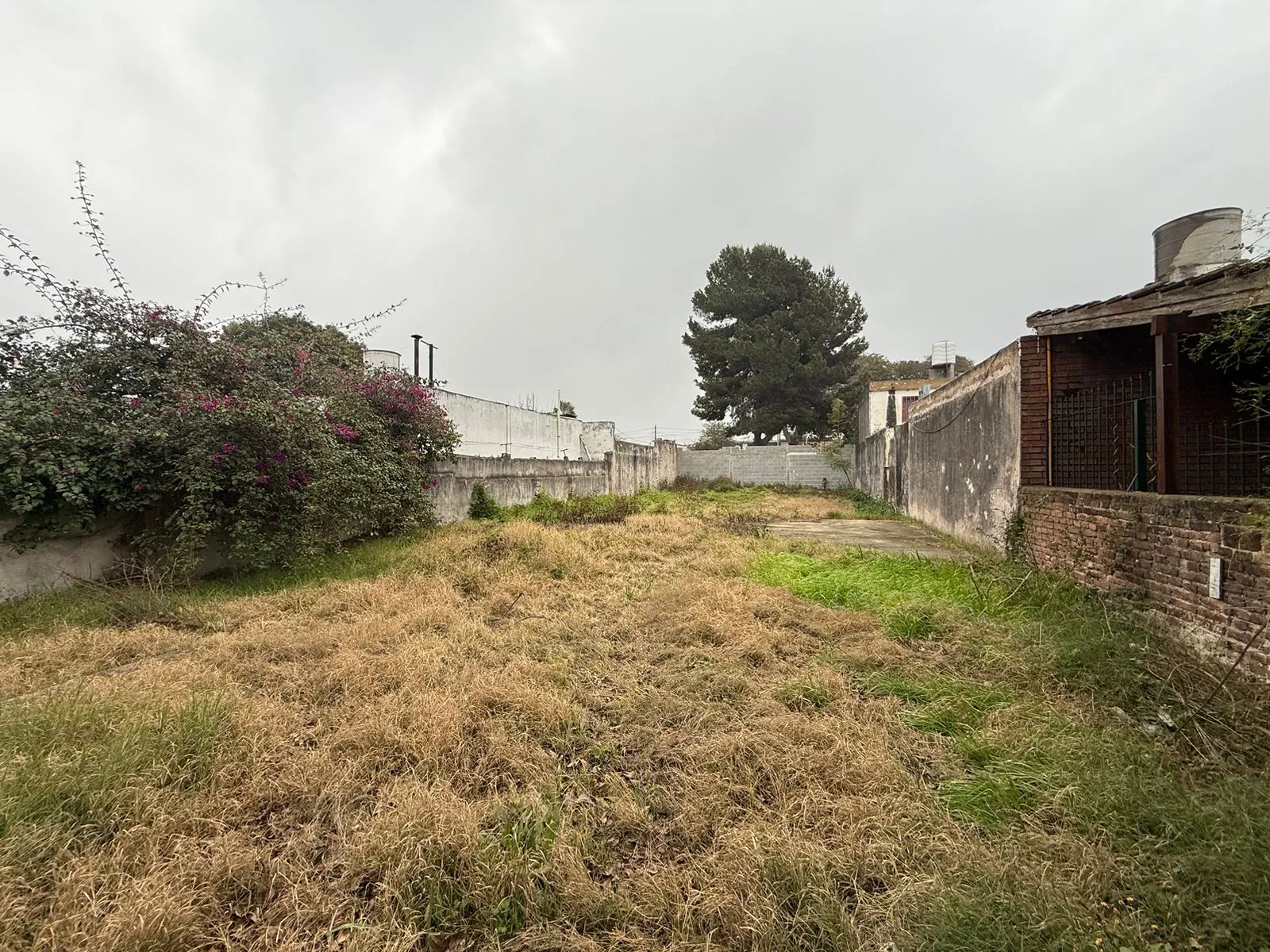 !!Alq Terreno de 300m2!!