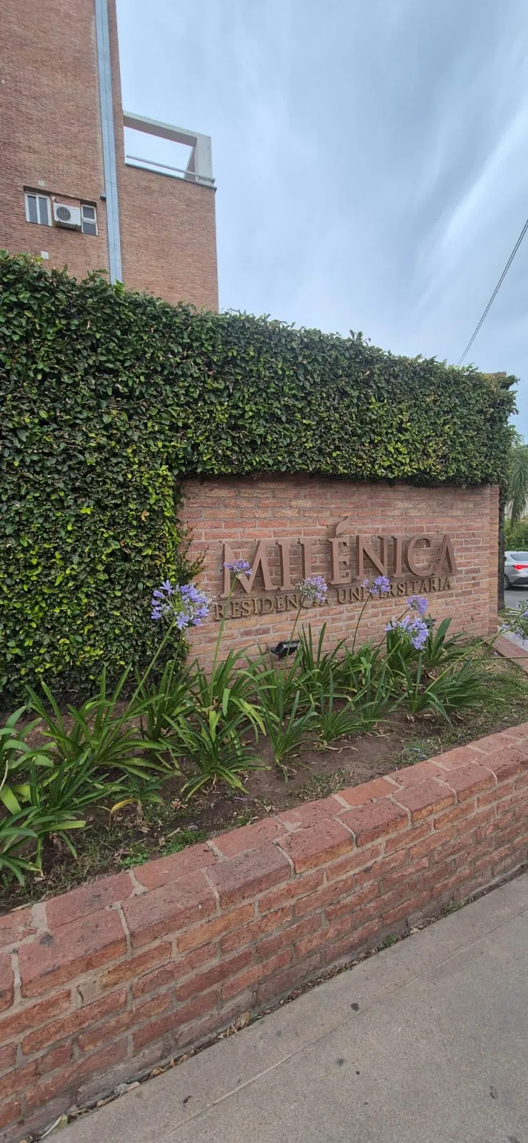MILENICA UNIVERSITARIA - ALQUILER DEPTO 1 DORMITORIO- SIN COCHERA