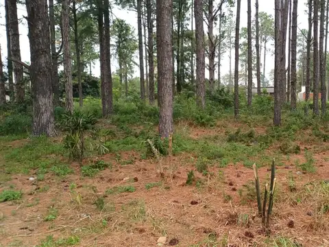 Terreno en Venta en Cayasta, Garay