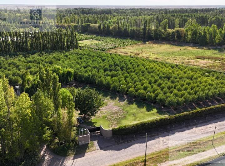 Campo · 16407m²