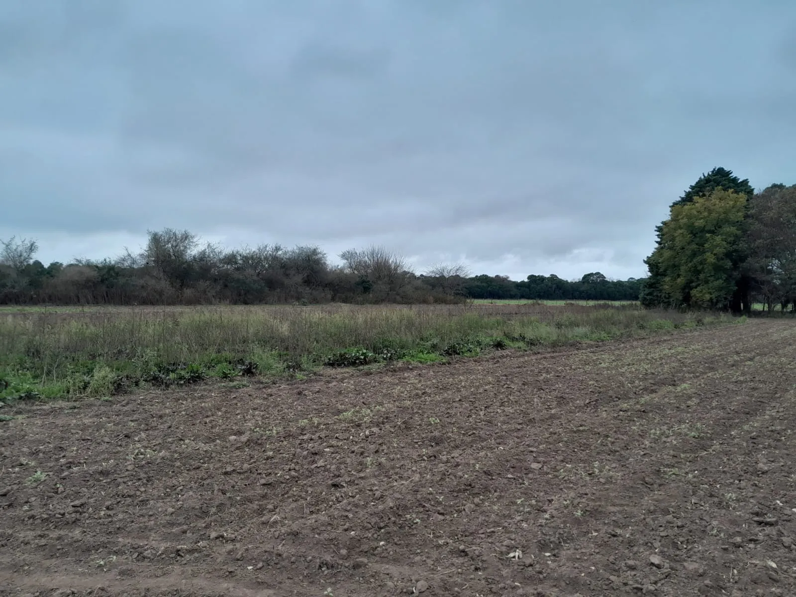 EN VENTA – HECTÁREA PRODUCTIVA EN CAMPO LA ARGENTINA | SANTA MARÍA, CÓRDOBA