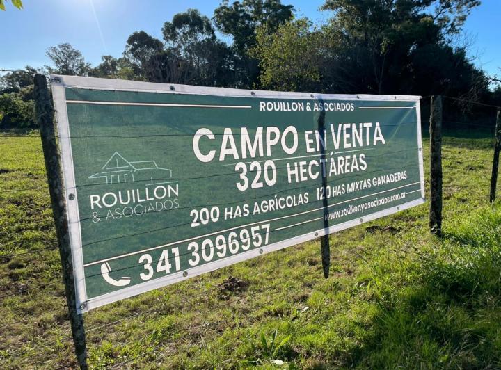 Campo · 350ha