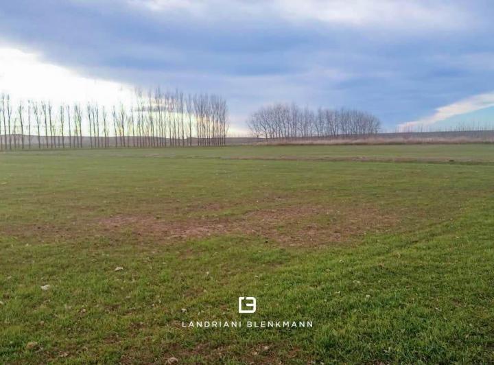 Terreno · 224ha