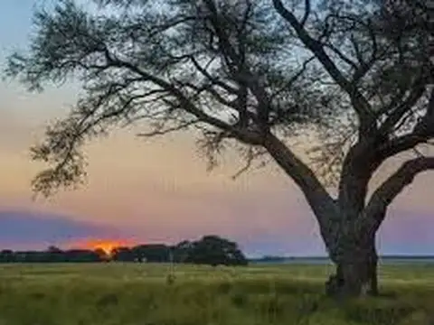 Campo en Venta en Rolon, Atreucó