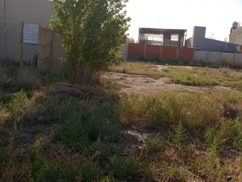 Terreno en Venta en Cipolletti, General Roca