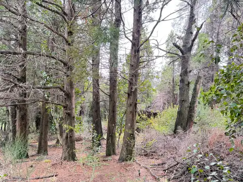 Terreno en Venta en San Carlos de Bariloche, Bariloche