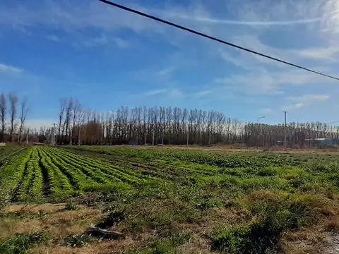 Terreno en Venta en Vista Alegre Norte, Confluencia