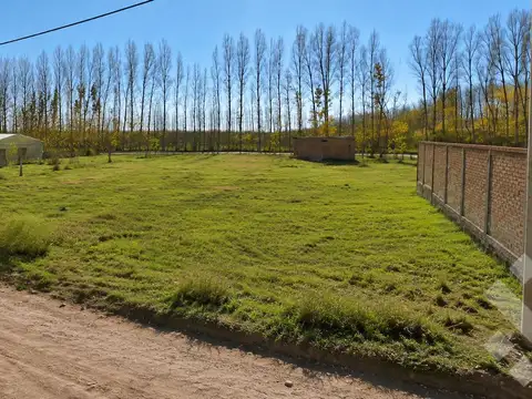Terreno en Venta en San Patricio del Chañar, Añelo