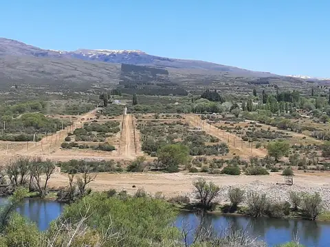Terreno en Venta en Alumine, Aluminé