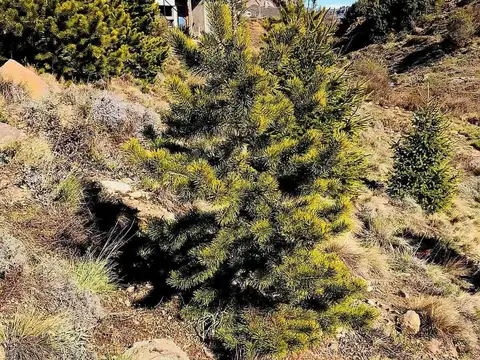 Terreno en Venta en San Martín de los Andes, Lácar