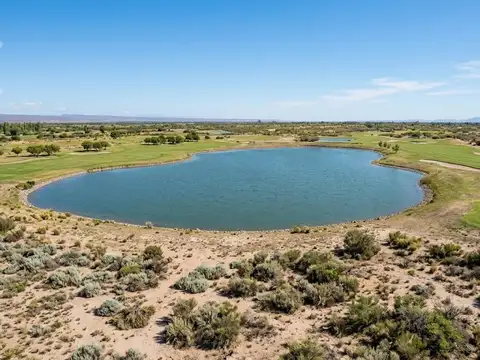 Terreno en Venta en Plottier, Confluencia