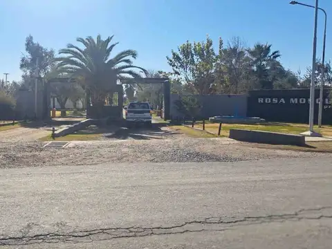 Terreno en Venta en Los Corralitos, Guaymallén