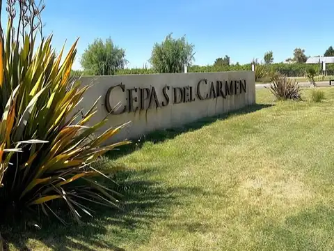 Terreno en Venta en La Colonia, Junín