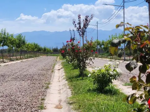 Terreno en Venta en Mayor Drummond, Luján de Cuyo