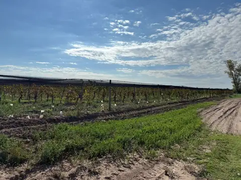 Terreno en Venta en 12 de Octubre, Santa Rosa