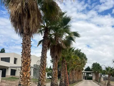 Terreno en Venta en Chacras de Coria, Luján de Cuyo