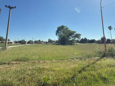 Terreno en Venta en Nuevo Torino, Las Colonias