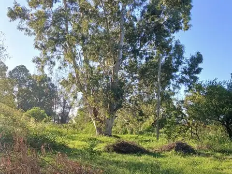 Terreno en Venta en Arroyo Leyes, La Capital