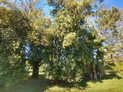 Terreno en Venta en Villa Amelia, Rosario