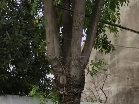 Terreno en Venta en Villa Devoto, CABA