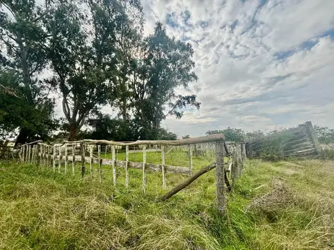 Campo en Venta en Magdalena, Partido de Magdalena