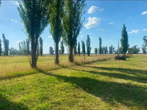Campo en Venta en Tomas Jofre, Partido de Mercedes