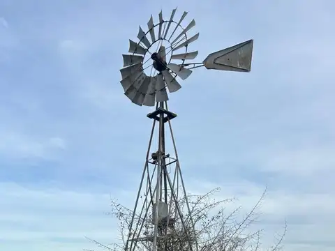 Campo en Venta en Álvarez Jonte, Partido de Punta Indio