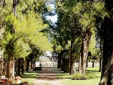 Campo en Venta en Cortines, Partido de Luján