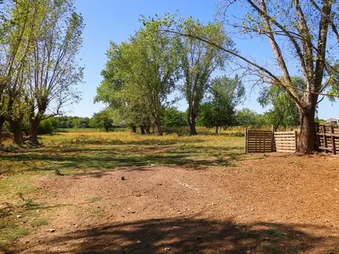 Quinta en Venta en Goldney, Partido de Mercedes