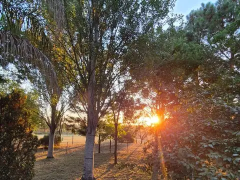 Quinta en Venta en Coronel Brandsen, Partido de Brandsen