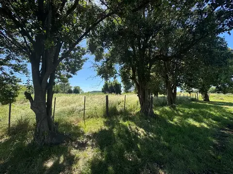 Terreno en Venta en Manuel Ocampo, Partido de Pergamino