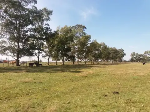 Terreno en Venta en Florencio Varela, Partido de Florencio Varela