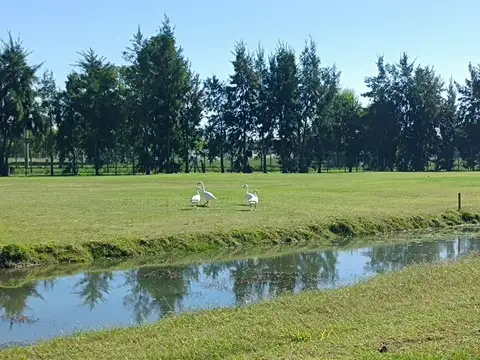 Terreno en Venta en Haras Del Sur 3, Countries y Barrios Cerrados en la Plata