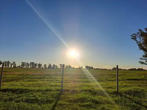 Terreno en Venta en Los Tres Pinos, Countries y Barrios Cerrados en General Rodríguez