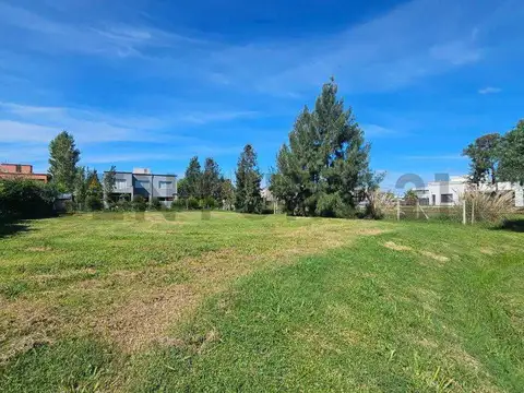 Terreno en Venta en Santa Rita, Canning